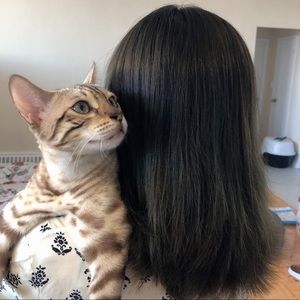 Meet your Posher, Chi